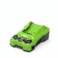 Incarcator pentru acumulatori 24V Greenworks G24C 2A foto