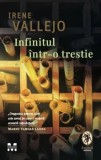 Cumpara ieftin Infinitul intr-o trestie/Irene Vallejo
