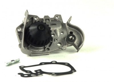 Pompa apa RENAULT MEGANE I Break (KA0/1) (1999 - 2003) THERMOTEC D1R026TT foto