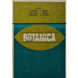 Botanica - 1980 - M. Paun (XD78)