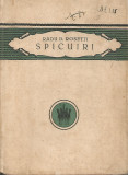 Spicuiri - Radu D. Rosetti