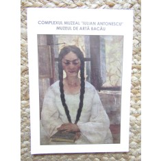 COMPLEXUL MUZEAL IULIAN ANTONESCU MUZEUL DE ARTA BACAU