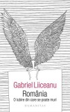 Rom&acirc;nia. O iubire din care se poate muri - Paperback brosat - Gabriel Liiceanu - Humanitas