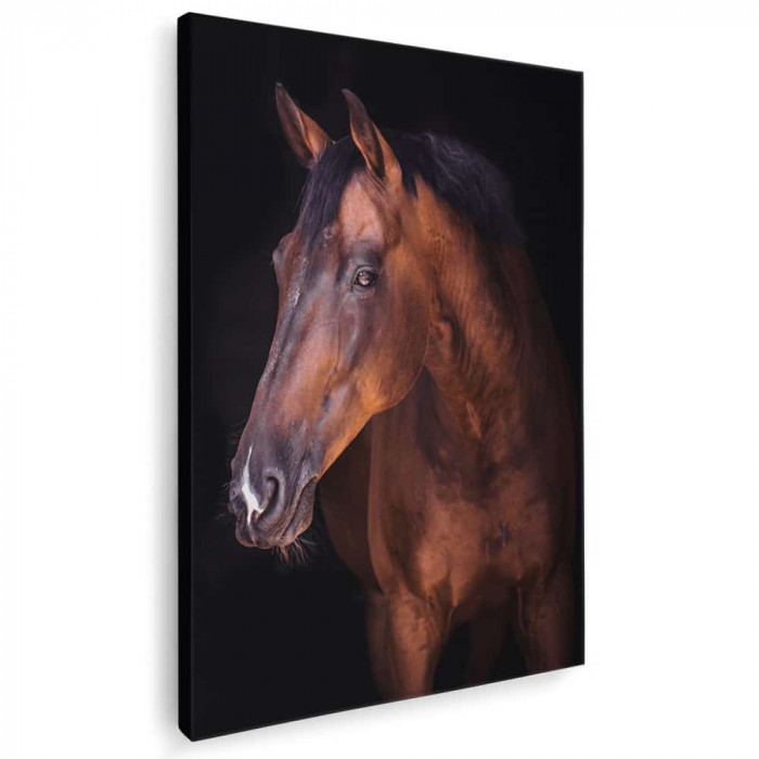 Tablou cal brun roscat (murg) Tablou canvas pe panza CU RAMA 30x40 cm