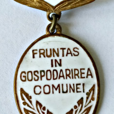 INSIGNA FRUNTAS IN GOSPODARIREA COMUNEI 1970