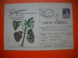 HOPCT 448 X PODGORENI APARATI VIILE -1977-CARTE POSTALA -BULETIN AVERTIZARE -MINISTERUL AGRICULTURII-CIRCULATA