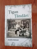 Valeriu Nicolae, Țigan țăndări