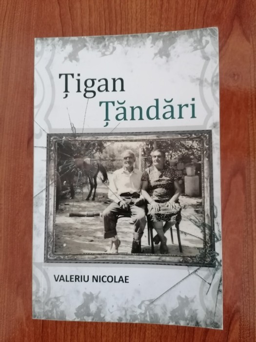 Valeriu Nicolae, Țigan țăndări