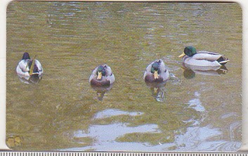 bnk card Romania - Romtelecom 100000 lei 2007 Rate - RO-ROM-0373 foto