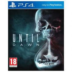 Until Dawn PS4 foto
