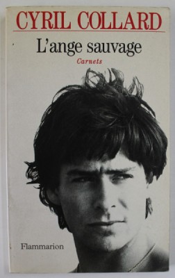 L &amp;#039; ANGE SAUVAGE , CARNETS par CYRIL COLLARD , 1993 foto