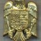 Y 1550 INSIGNA-MILITARA -EMBLEMA COIFURA -PENTRU COLECTIONARI