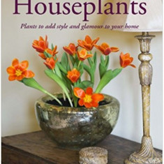 Houseplants: Plants to Add Style and Glamour to Your Home | Matthews Clare