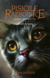 Pisicile Razboinice - Vol 8 - Rasarit de luna