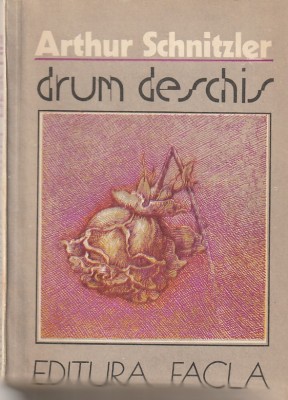 ARTHUR SCHNITZER - DRUM DESCHIS foto