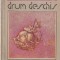 ARTHUR SCHNITZER - DRUM DESCHIS