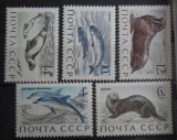 AFR 1971 SERIE RUSIA MNH