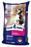 Club 4 Paws Hrana uscata catei toate rasele, 14kg