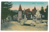 551 - SINAIA, Prahova, Pelisor Castle, Romania - old postcard - unused, Necirculata, Printata