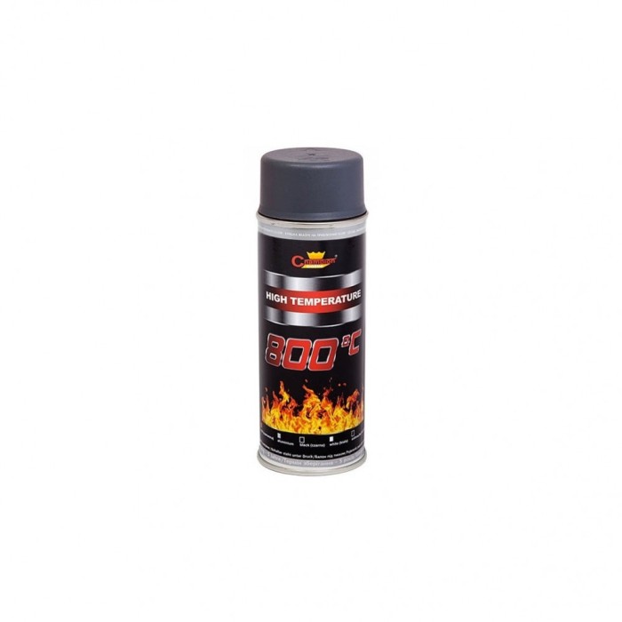 Spray vopsea Profesional CHAMPION Rezistent Termic 800 C 400ml Gri Antracit
