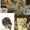 Fauna, Maxime