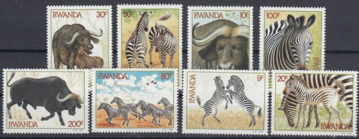 Rwanda - Fauna Africana - ZEBRE si BIVOLI - MNH