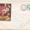 bnk ip Intreg postal circulat 1963 - Anemone