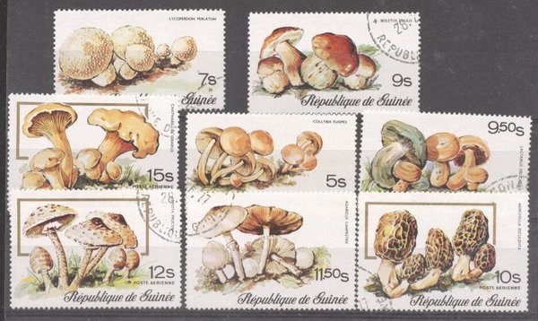 Guinee 1977 Mushrooms used DE.170