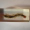 INSECTE REALA IN RASINA (N1) DEAGOSTINI