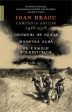 Campania anilor 1916&ndash;1918 - Paperback brosat - Ioan Dragu - Humanitas