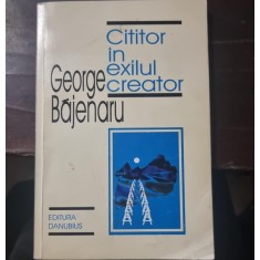 Cititor in exilul creator - George Bajenaru