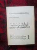 N4 Cultura , institutii culturale si socializarea tineretului - C. Schifirnet