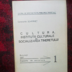 n4 Cultura , institutii culturale si socializarea tineretului - C. Schifirnet