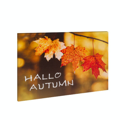 Tablou LED peisaj de toamna - Hello Autumn - 2 x AA, 40 x 30 cm foto