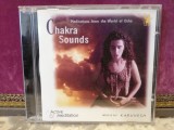 Karunesh &ndash; Chakra Sounds (2000/Aktive) - CD /ca Nou