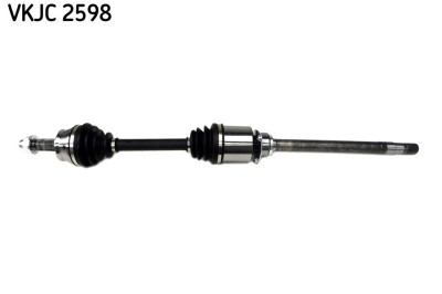 SKF VKJC 2598 Planetara foto