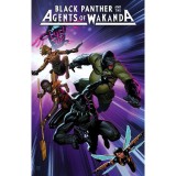 Black Panther And The Agents Of Wakanda | Jim Zub, Marvel Comics