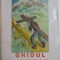 GHIDUL CRESTINULUI de MIHAIL DIMITRIU , 2001