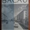 Bacau. Mic indreptar turistic
