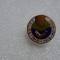 insigna aniversara AGVPS 1948-1978