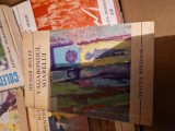 Vagabondul soarelui vintage