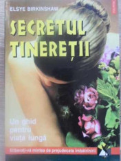 SECRETUL TINERETII-ELSYE BIRKINSHAW foto