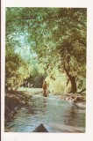 RF145 - Carte Postala - Delta Dunarii, necirculata