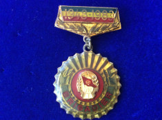 Insigna - UTC Uniunea Tineretului Comunist - Brigadier UTC - 1948-1983 foto