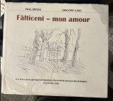 Paul Miron, Grigore Ilisei - Falticeni, mon amour. O scurta istorie aproape sentimentala