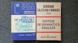 SINTEZE + EXERCITII DE GRAMATICA ENGLEZA - Georgiana Galateanu-Farnoaga
