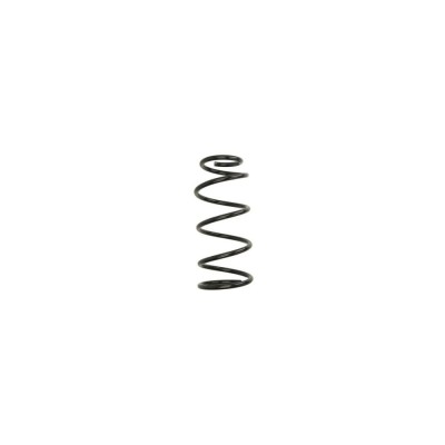 Arc spiral FORD C-MAX DM2 Magnum Technology foto