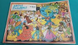 REVISTA ARICI POGONICI NR. 6 1976* 43