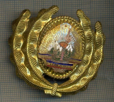 Y 1582 INSIGNA-MILITARA-EMBLEMA COIFURA- OFITER -RSR -PENTRU COLECTIONARI foto