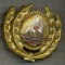 Y 1582 INSIGNA-MILITARA-EMBLEMA COIFURA- OFITER -RSR -PENTRU COLECTIONARI